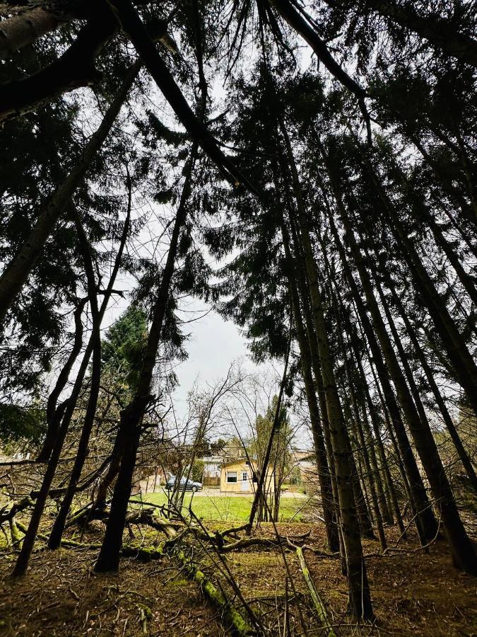 Ferienhaus Biber Godendorf  Zewnętrze zdjęcie